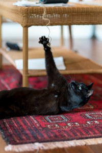 Fang reaching for string